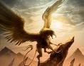 Dungeon's & Dragons
